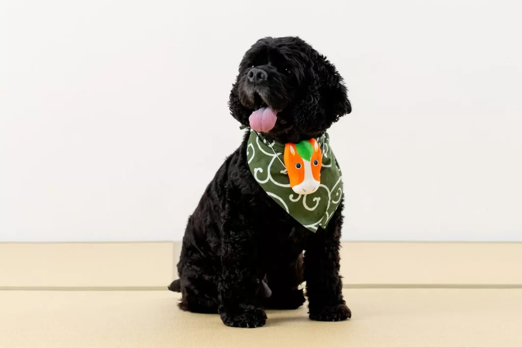 自然食ドッグフード『ドットわん』「愛犬用おせち」