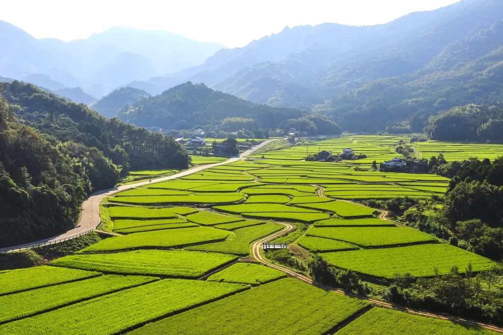 大分県豊後高田市『手づくり万菜おせち』