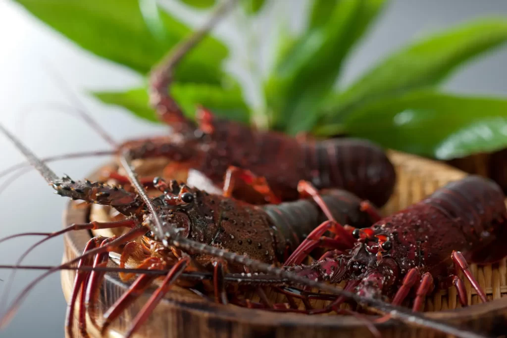 鳥羽国際ホテル ＆ NEMU RESORT「おせち料理 和洋三段重」