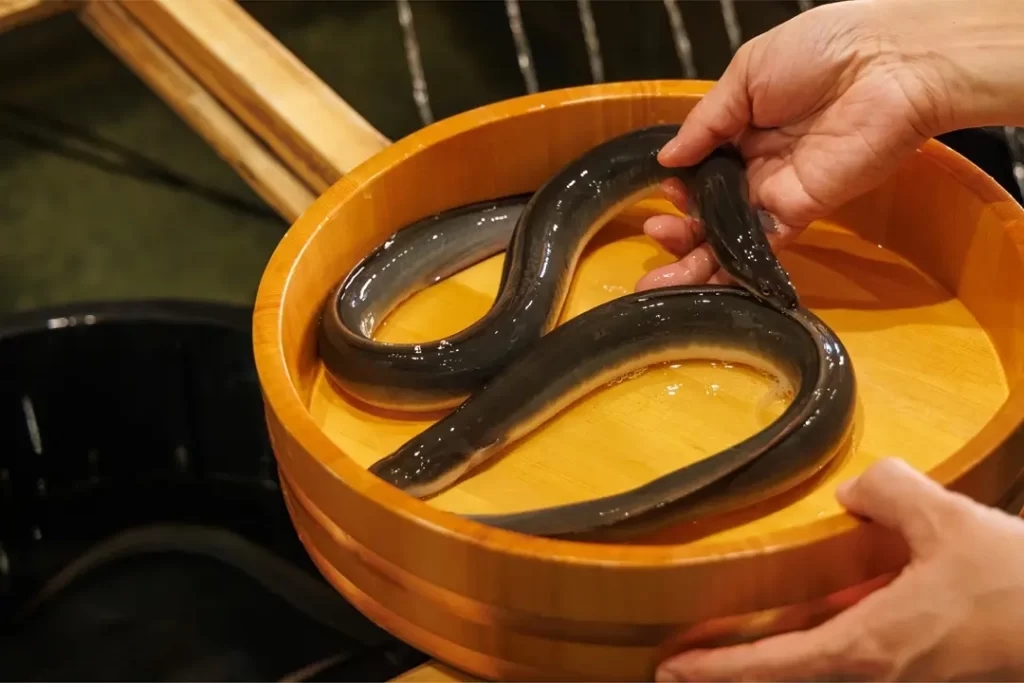 うなぎのしろむら謹製おせち