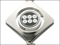 �퍑�����^�C�K�[�A�C�X�g���b�v�^�c�K���i�Z���K�j