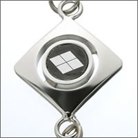 �퍑�����^�C�K�[�A�C�X�g���b�v ���c�M���i���c�H�j